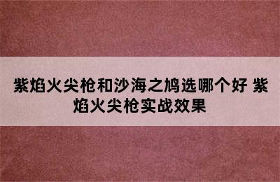 紫焰火尖枪和沙海之鸠选哪个好 紫焰火尖枪实战效果